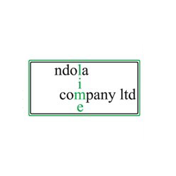 Client Logo